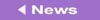 Navigational bar element linking to newsletter page